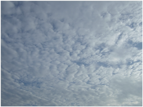 altocumulus.png